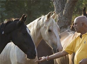 Horse Stables at Roop Niwas Kothi