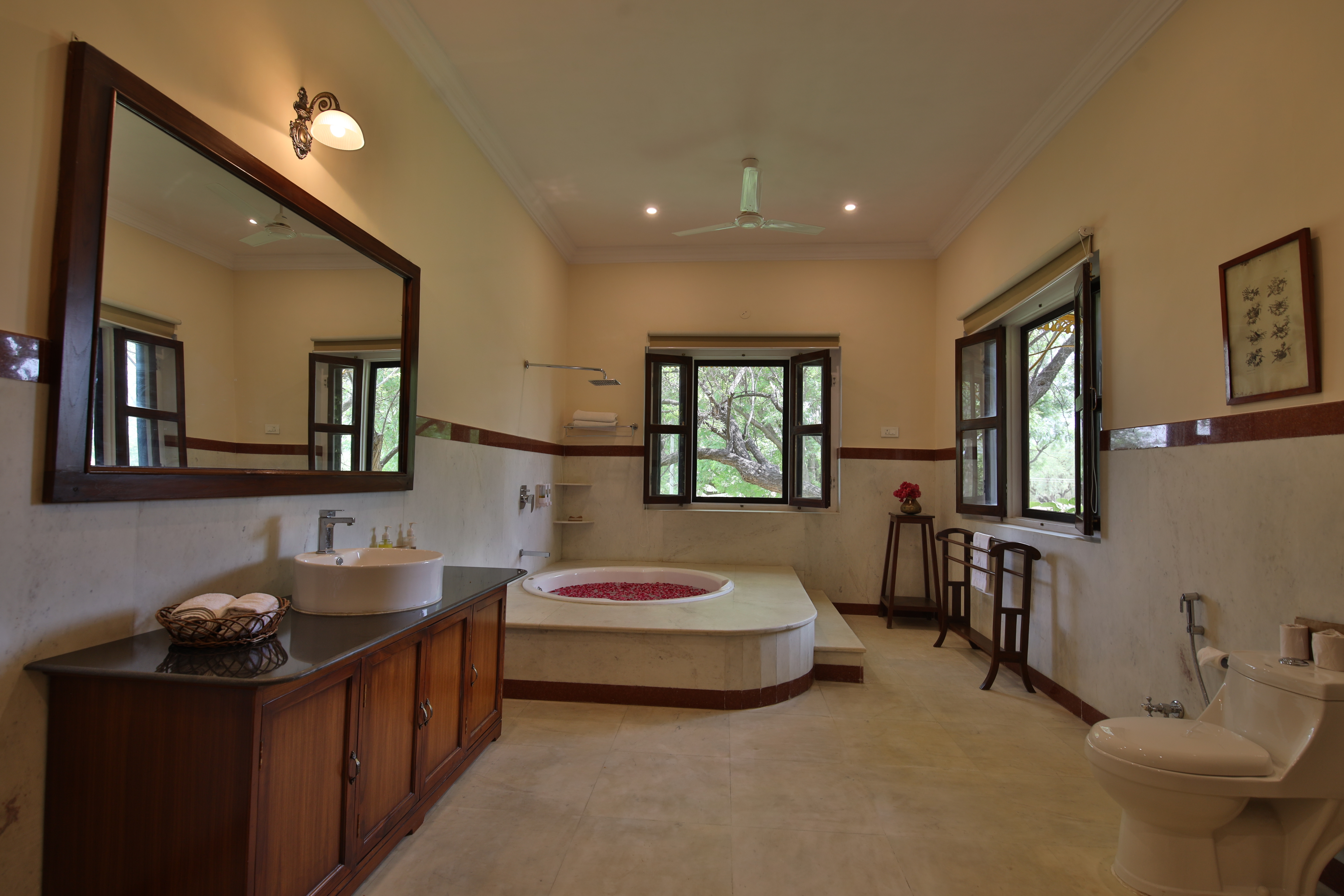 Suite - Bathroom View