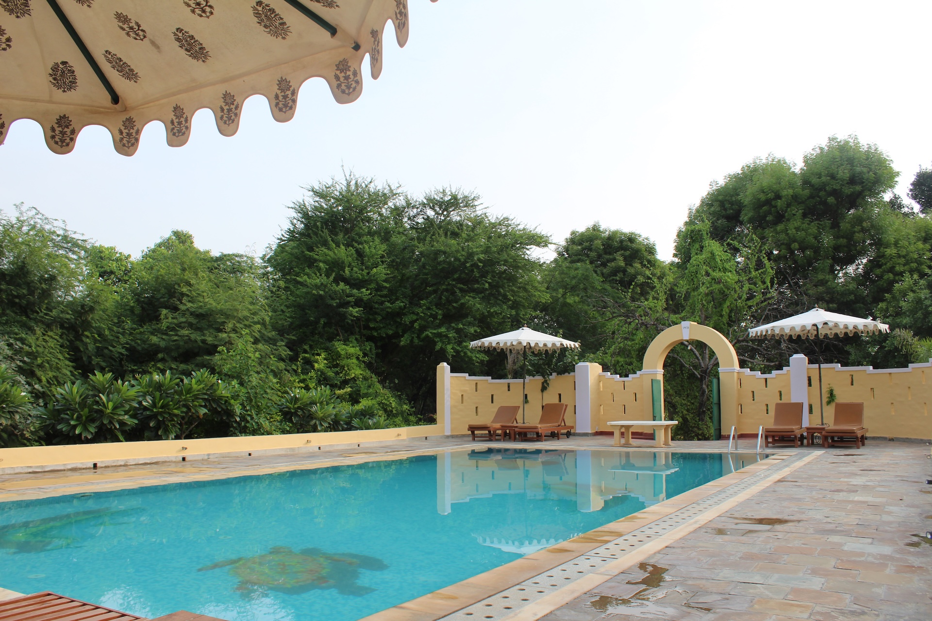 Pool Area and Garden