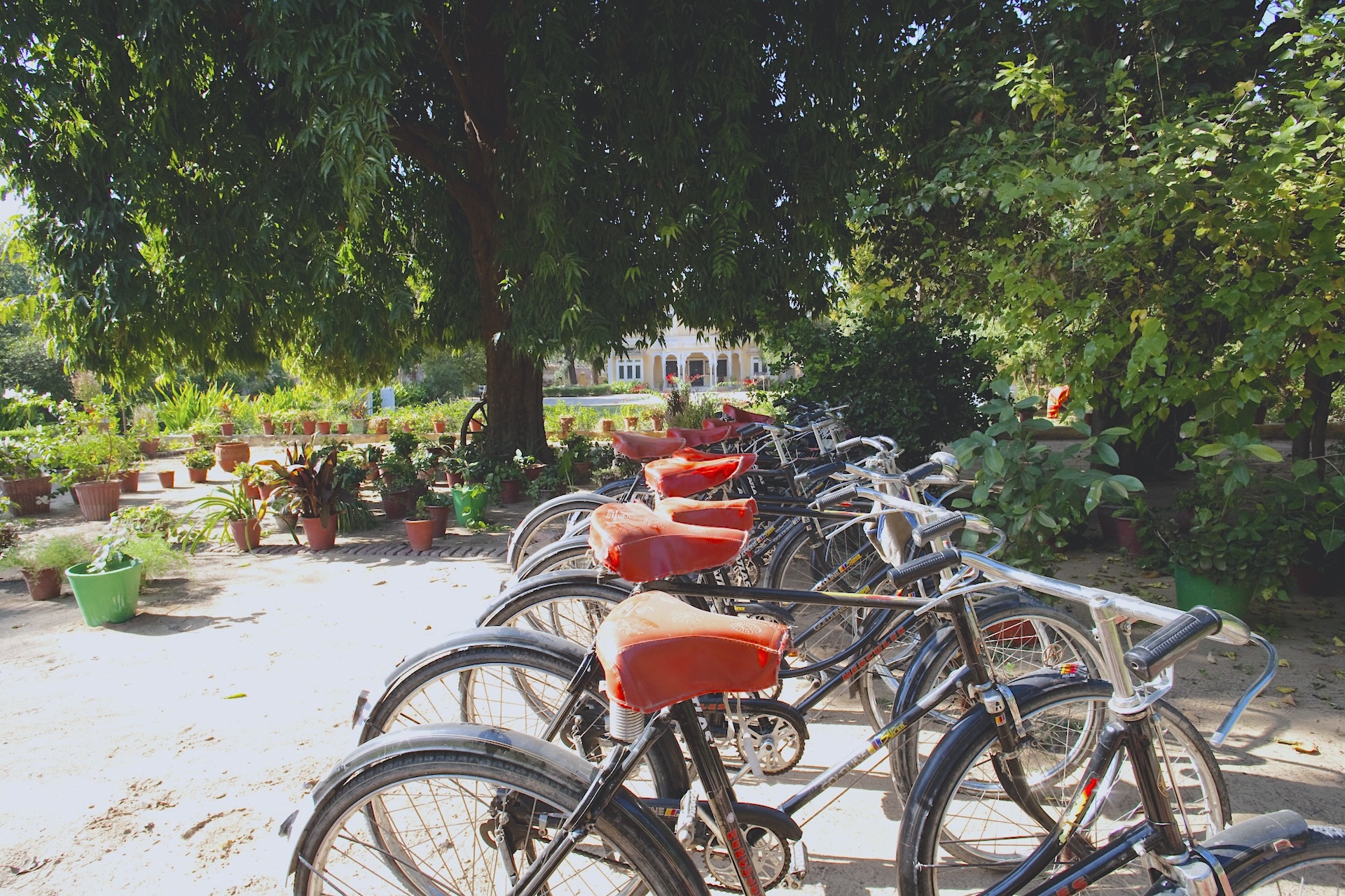 Explore on the Wheels